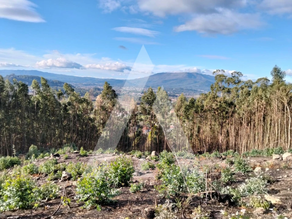 Terreno para Venda em Facha Foto 11