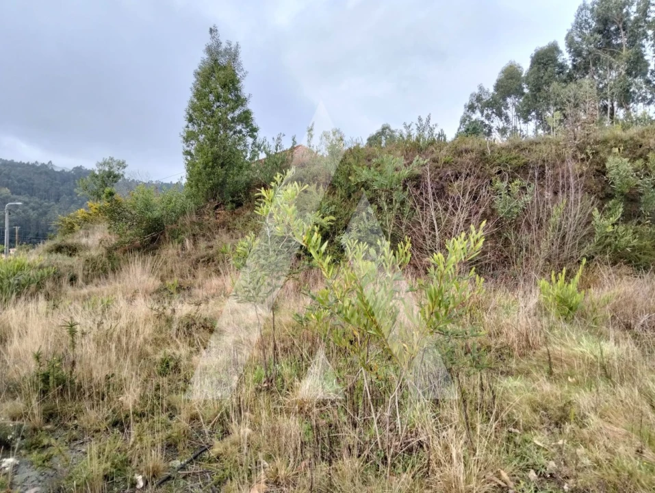 Terreno para Venda em Outeiro Foto 3