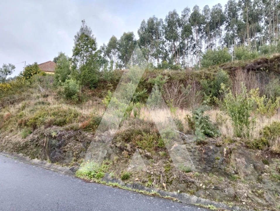 Terreno para Venda em Outeiro Foto 4