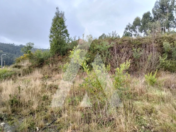 Terreno para Venda em Outeiro Foto 3