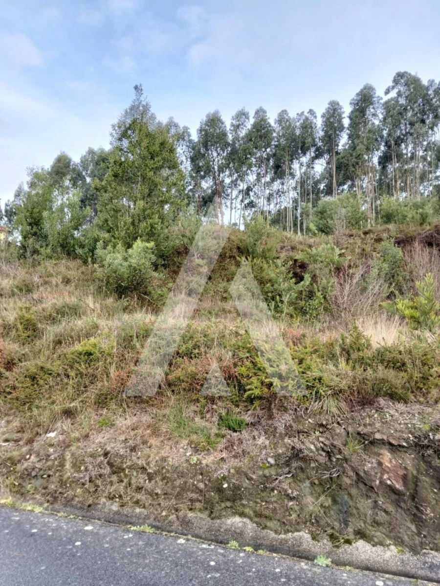 Terreno para Venda em Outeiro Foto 5