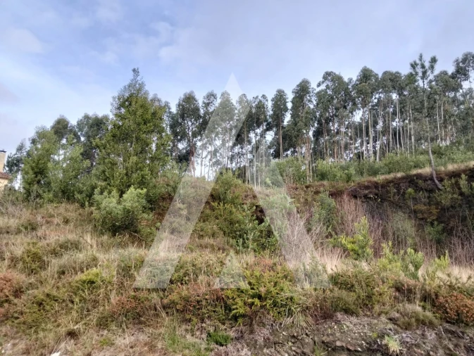 Terreno para Venda em Outeiro Foto 6