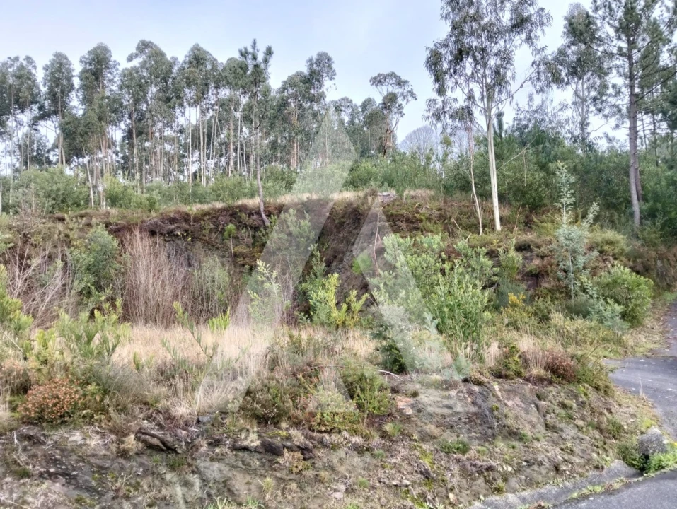 Terreno para Venda em Outeiro Foto 4