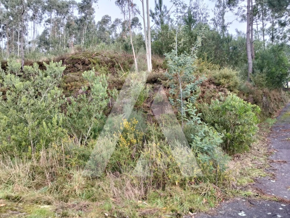 Terreno para Venda em Outeiro Foto 5