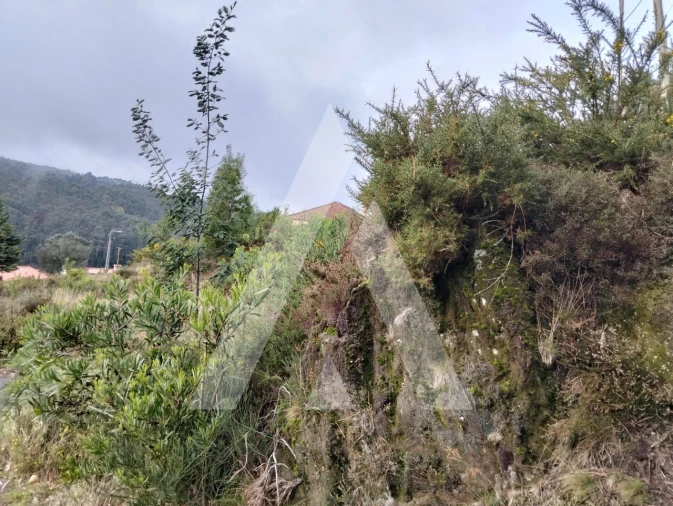 Terreno para Venda em Outeiro Foto 3