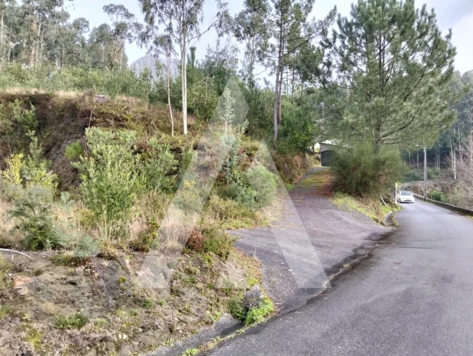 Terreno para Venda em Outeiro Foto 6