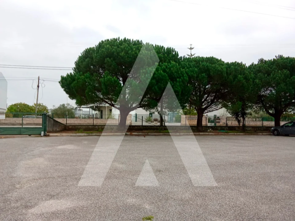 Armazém para Venda em Vagos e Santo António Foto 3