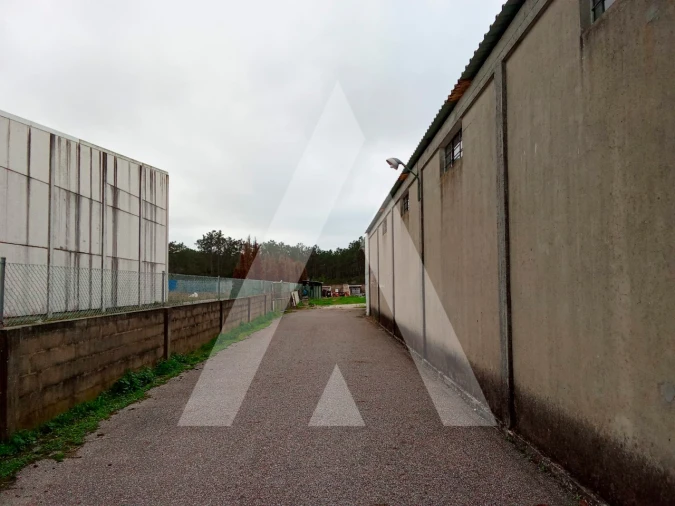 Armazém para Venda em Vagos e Santo António Foto 5