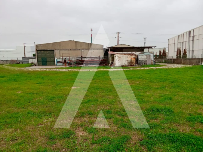 Armazém para Venda em Vagos e Santo António Foto 12