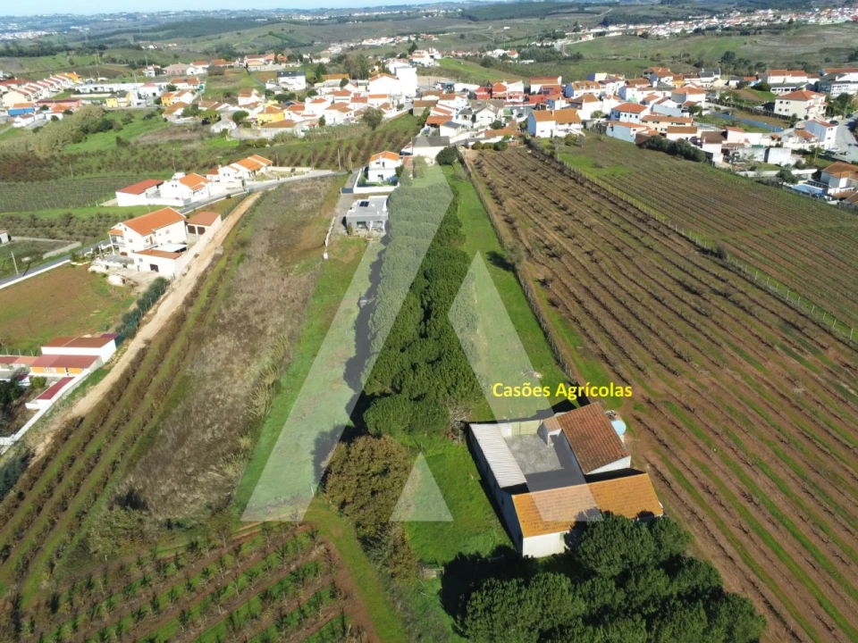 Moradia T4 para Venda em Lamas e Cercal Foto 43