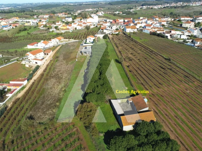 Moradia T4 para Venda em Lamas e Cercal Foto 43