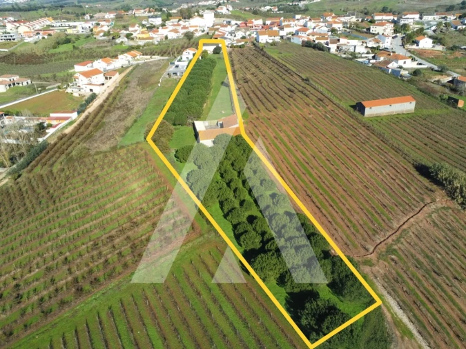 Moradia T4 para Venda em Lamas e Cercal Foto 46