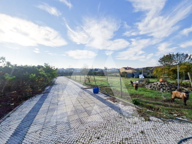 Moradia T5 para Venda em Mealhada, Ventosa do Bairro e Antes Foto 9