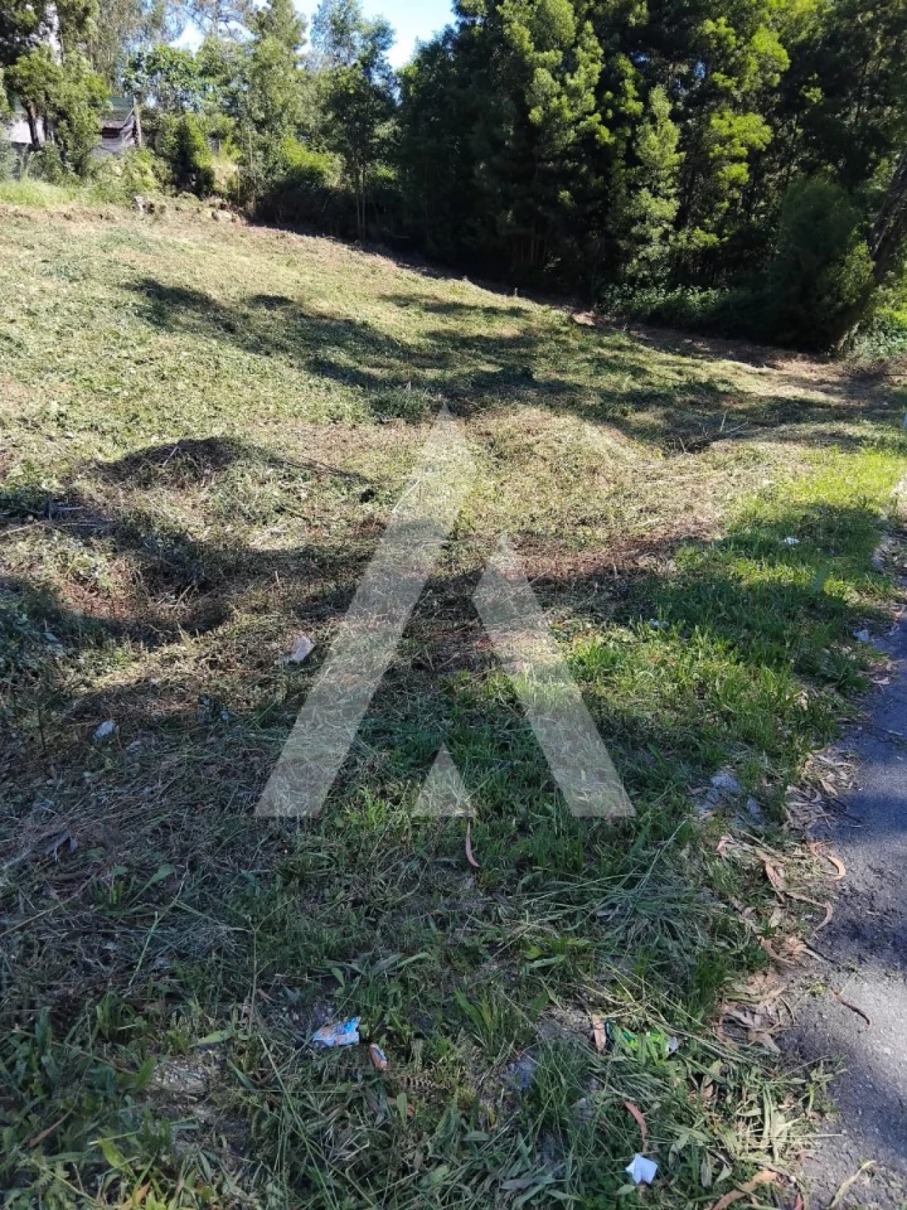 Terreno para Venda em Paredes Foto 7