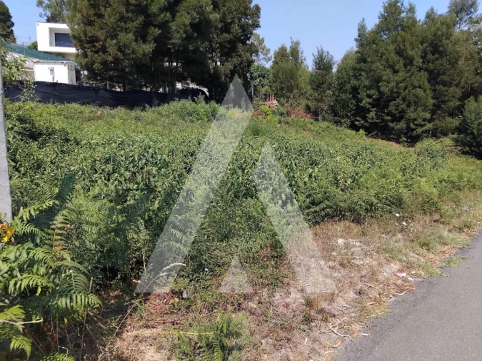 Terreno para Venda em Paredes