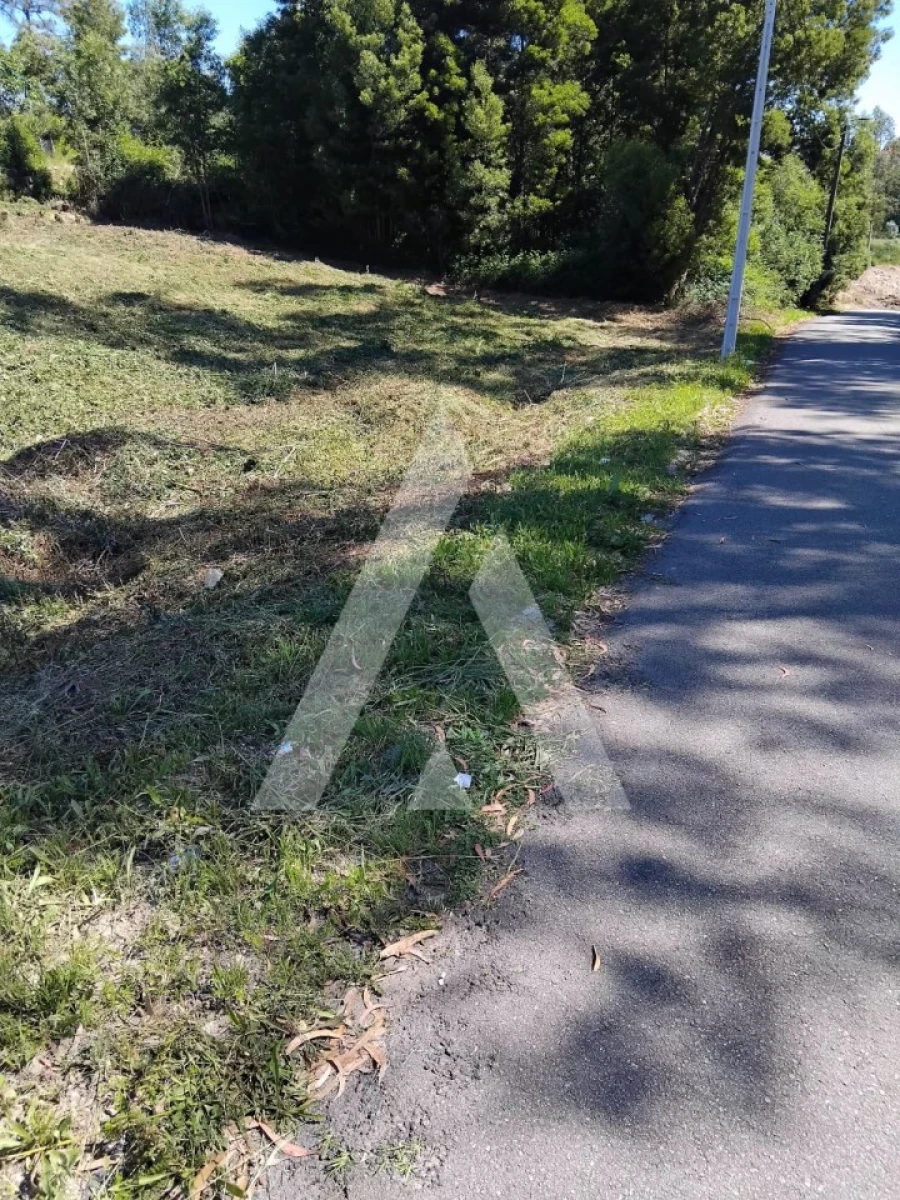 Terreno para Venda em Paredes Foto 4