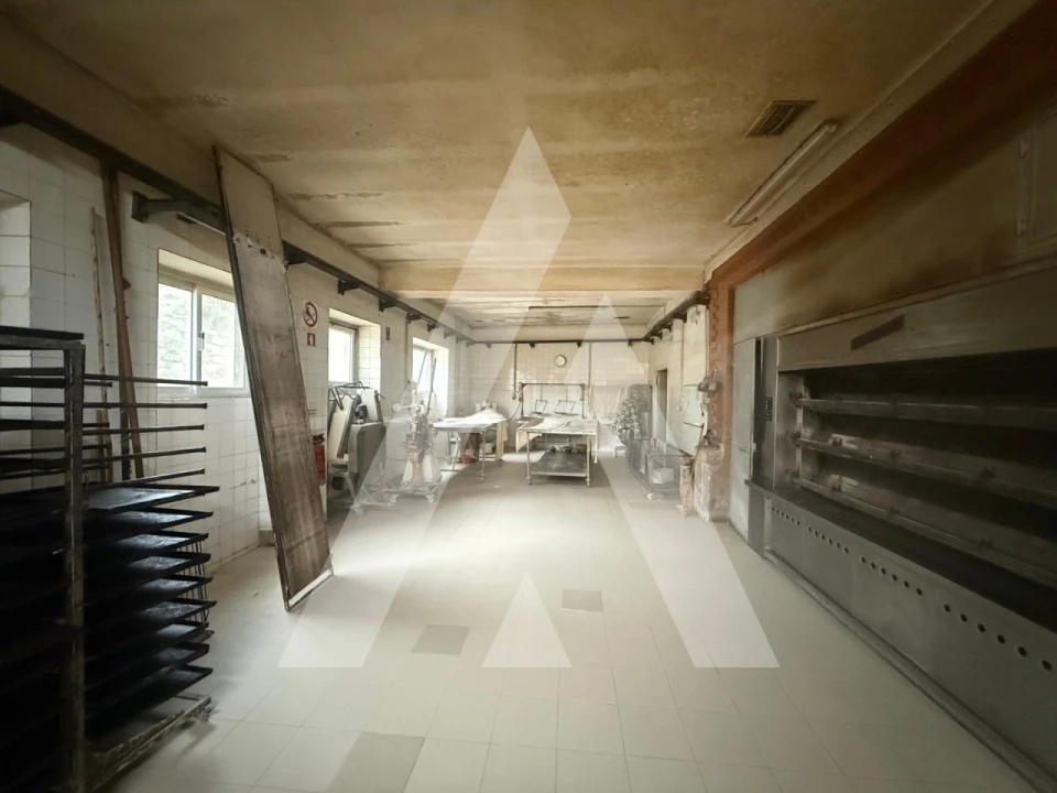 Negócio para Venda em São Vicente da Beira Foto 22