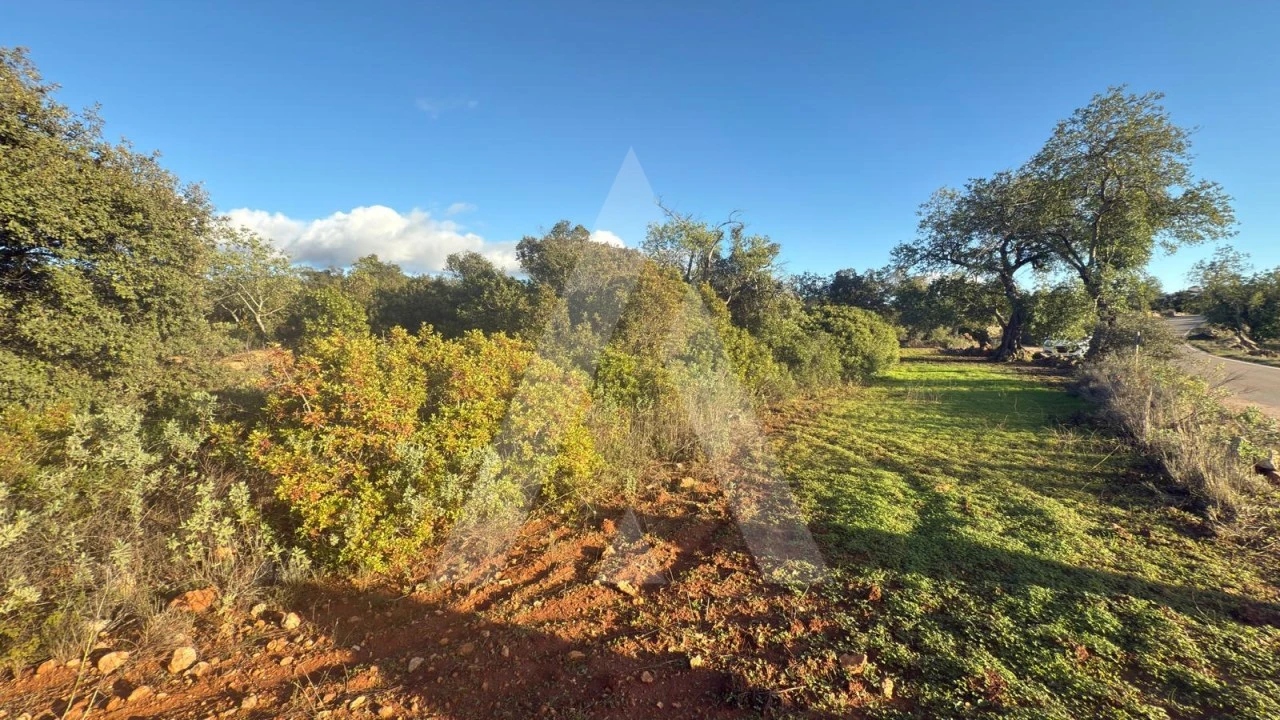 Terreno para Venda em Boliqueime Foto 1