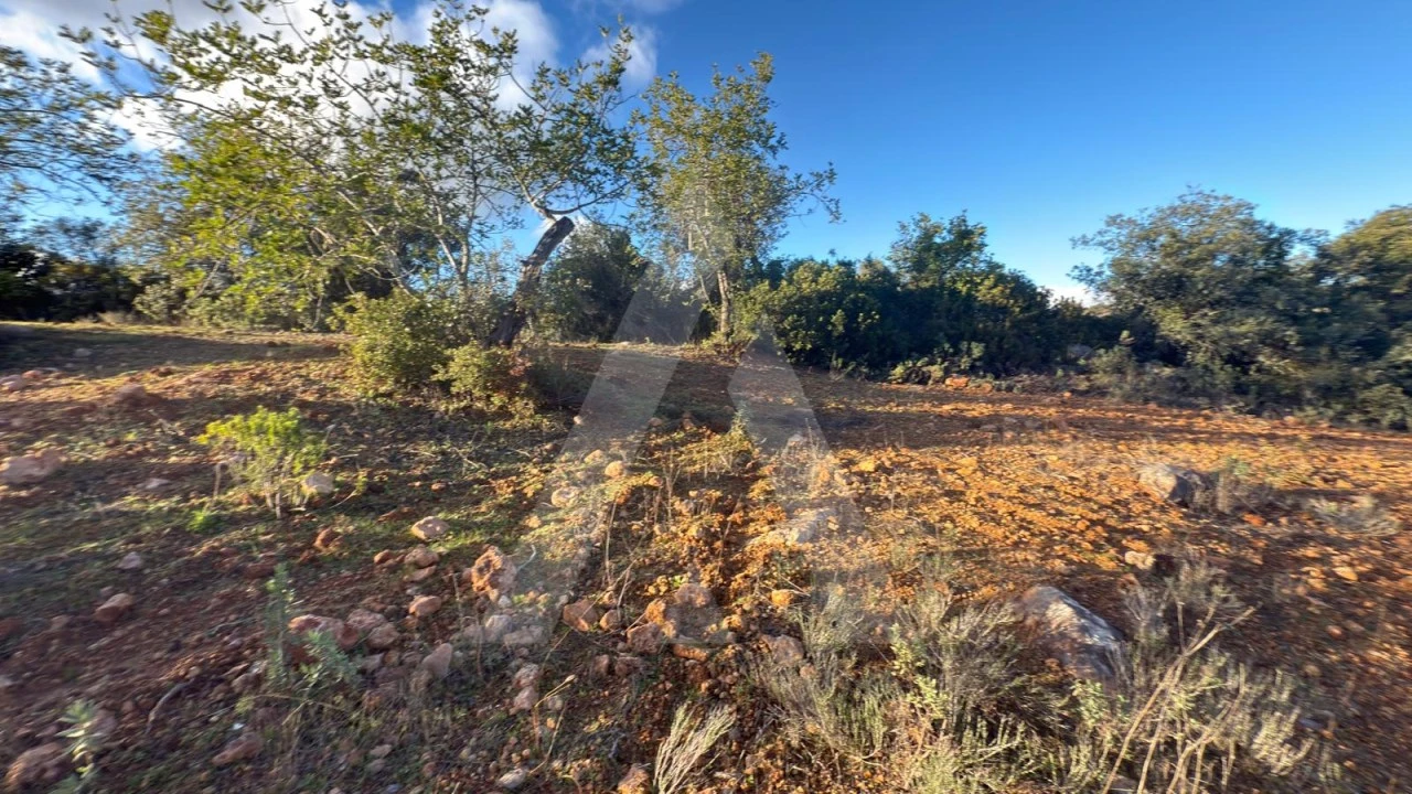 Terreno para Venda em Boliqueime Foto 8