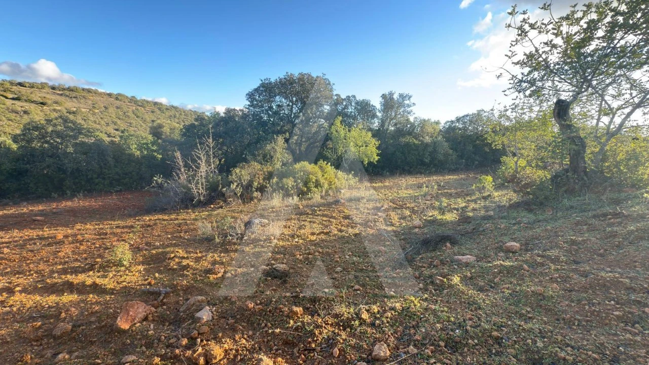Terreno para Venda em Boliqueime Foto 10