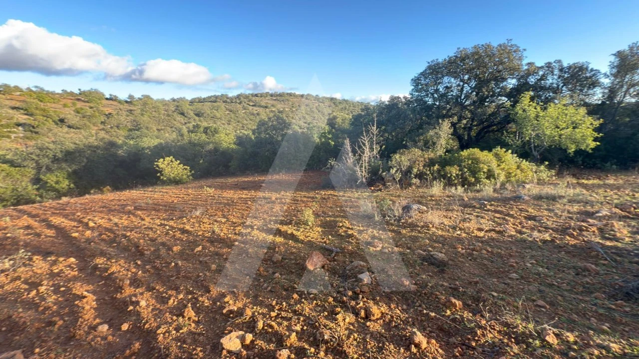 Terreno para Venda em Boliqueime Foto 11