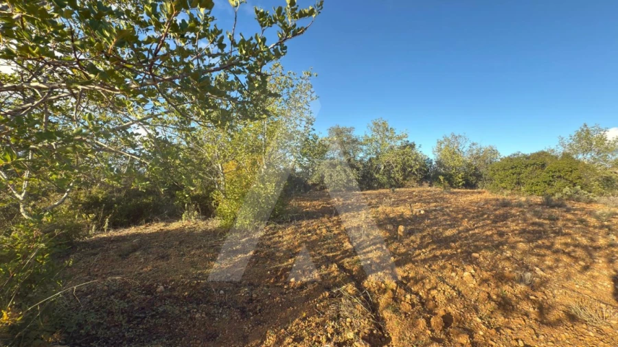 Terreno para Venda em Boliqueime Foto 4