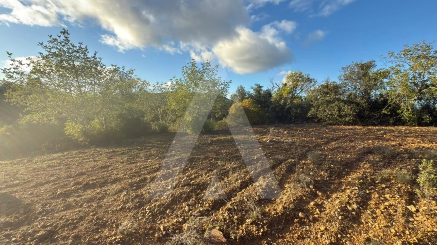 Terreno para Venda em Boliqueime Foto 7
