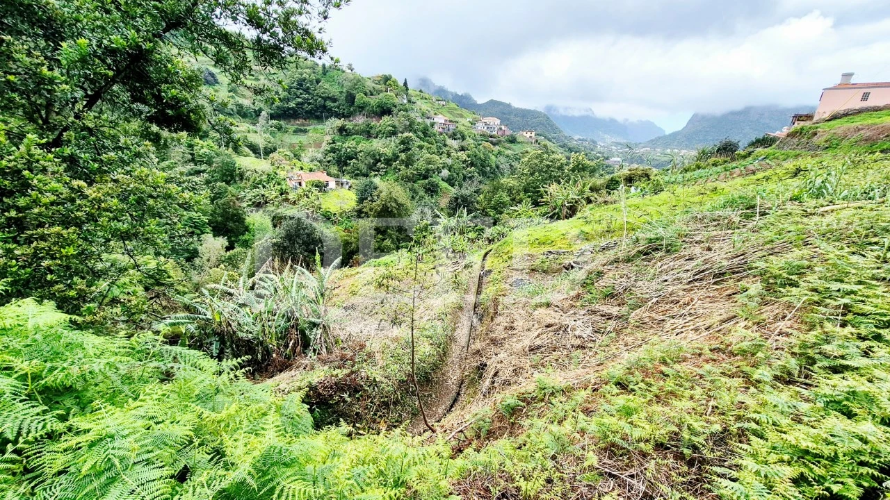 Terreno para Venda em Porto da Cruz Foto 4