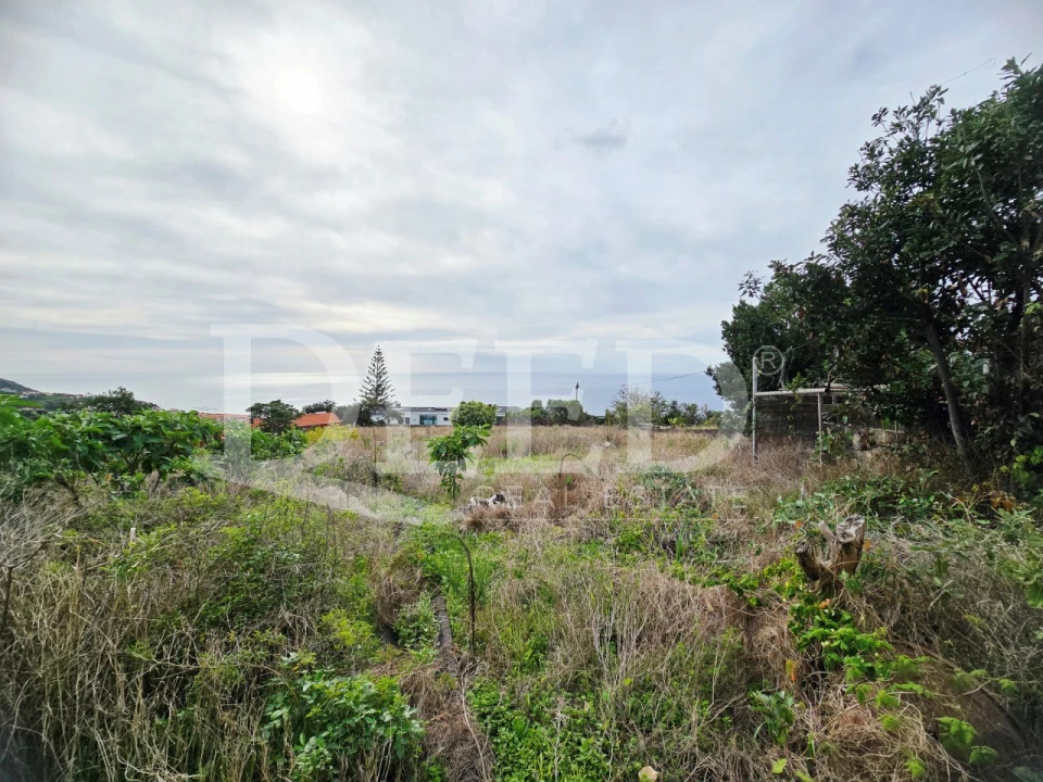 Moradia T6 para Venda em Estreito da Calheta Foto 22