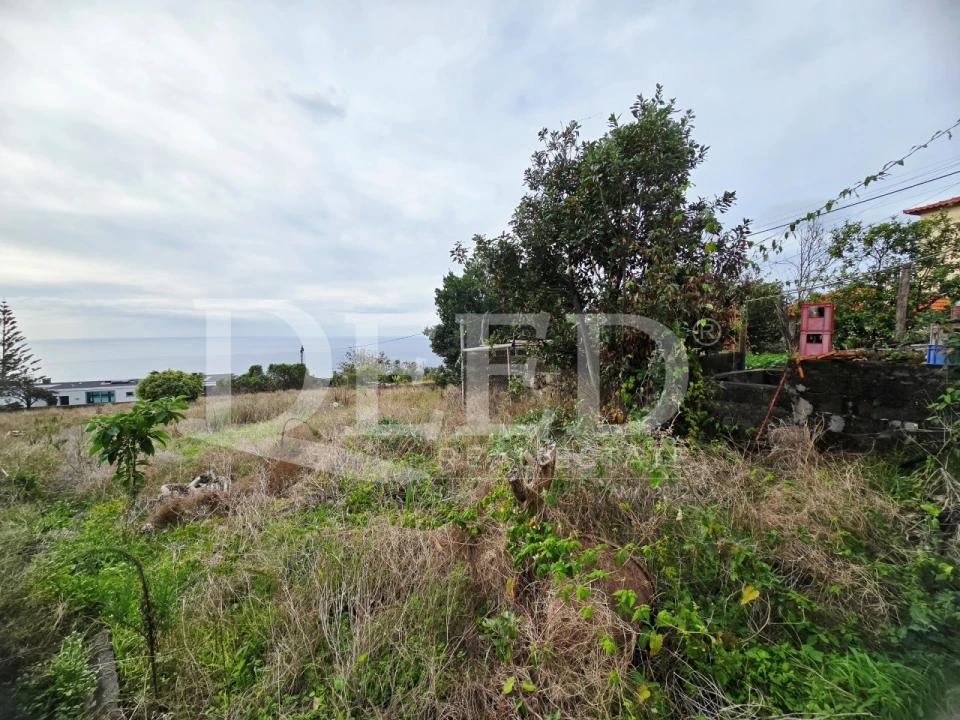 Moradia T6 para Venda em Estreito da Calheta Foto 23