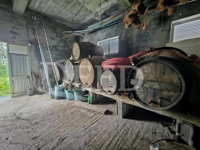 Moradia T6 para Venda em Estreito da Calheta Foto 25