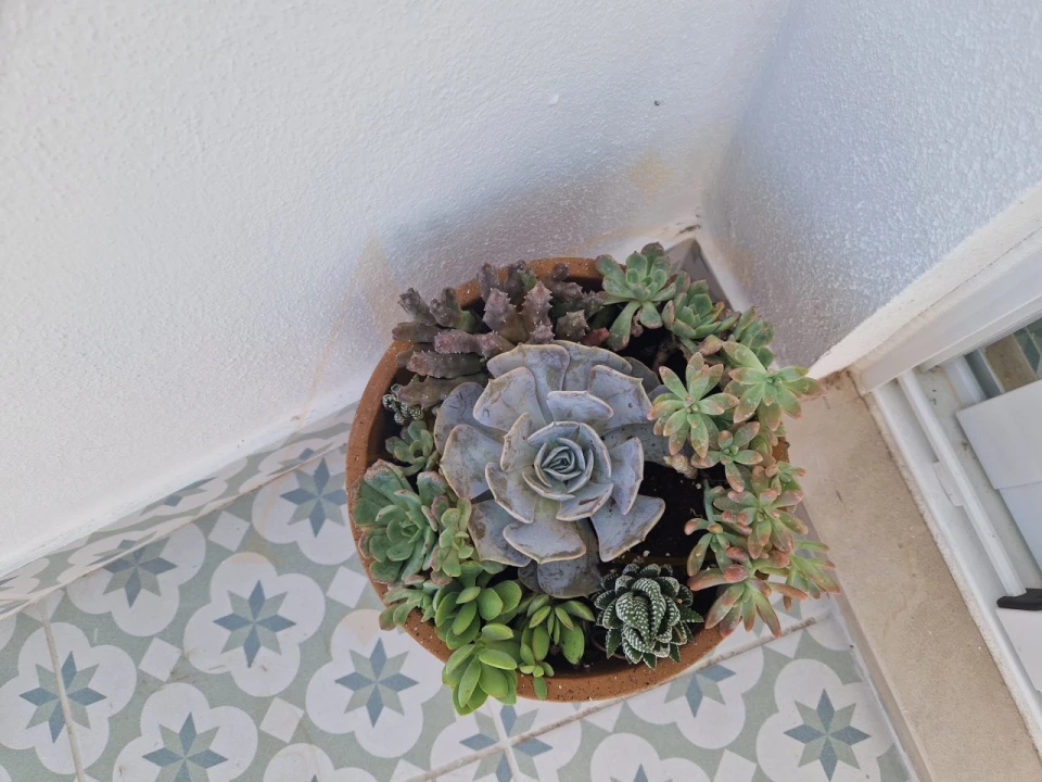 Apartamento T2 para Arrendamento férias em Tavira (Santa Maria e Santiago) Foto 18