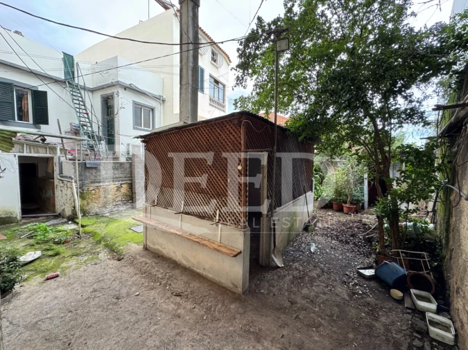 Prédio para Venda em Funchal (Se) Foto 11