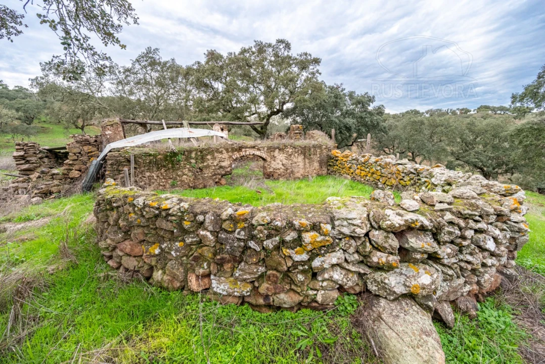 Quinta para Venda em Evora Monte (Santa Maria) Foto 2