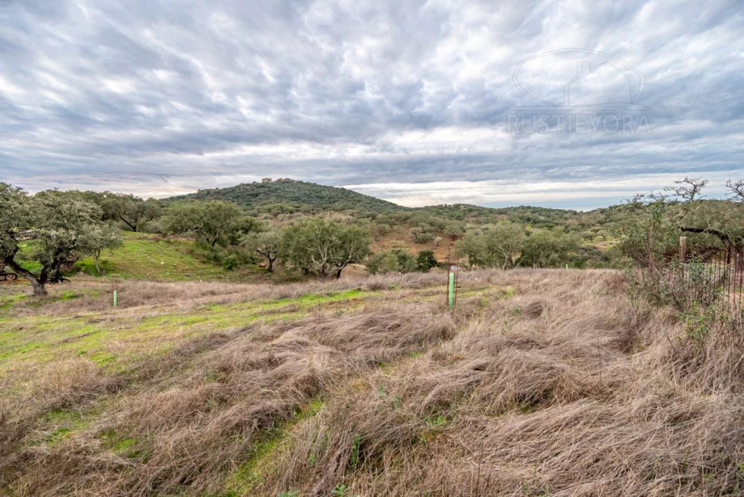 Quinta para Venda em Evora Monte (Santa Maria) Foto 8