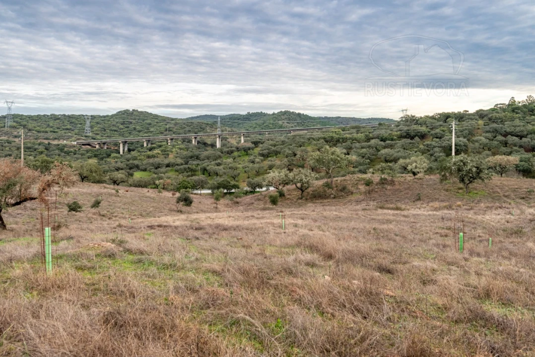Quinta para Venda em Evora Monte (Santa Maria) Foto 9