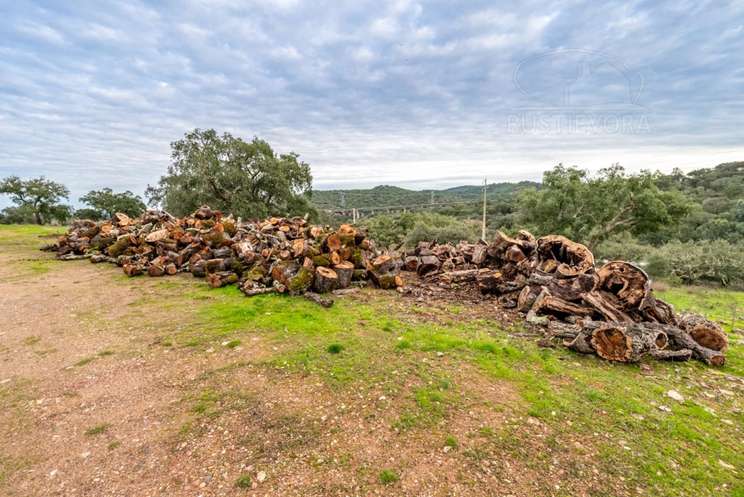 Quinta para Venda em Evora Monte (Santa Maria) Foto 17