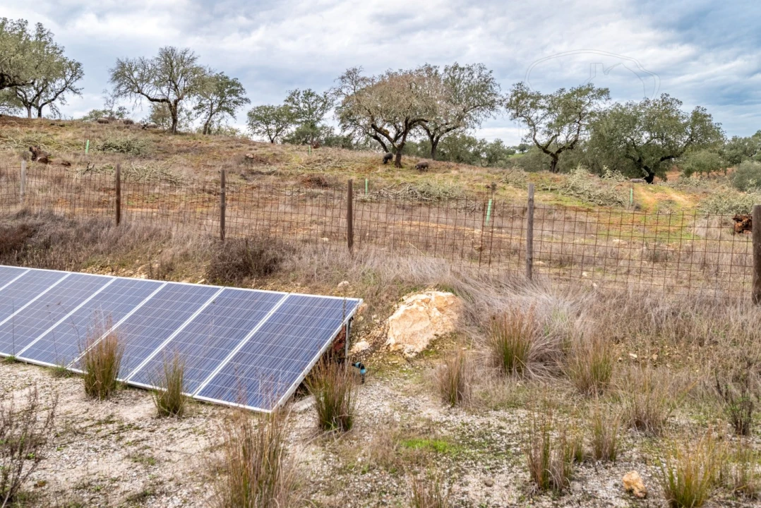 Quinta para Venda em Evora Monte (Santa Maria) Foto 19