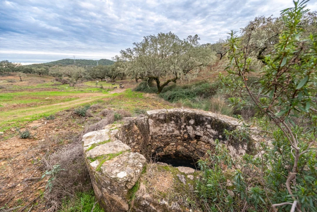 Quinta para Venda em Evora Monte (Santa Maria) Foto 25