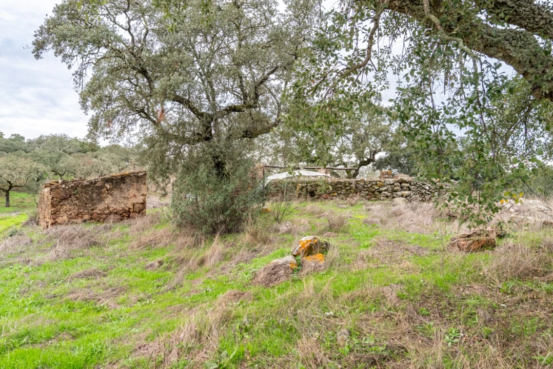 Quinta para Venda em Evora Monte (Santa Maria) Foto 26