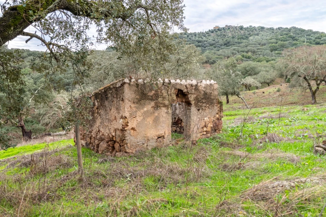 Quinta para Venda em Evora Monte (Santa Maria) Foto 27