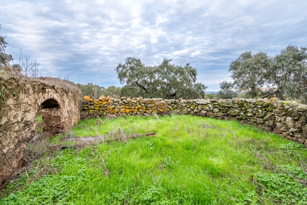 Quinta para Venda em Evora Monte (Santa Maria) Foto 28