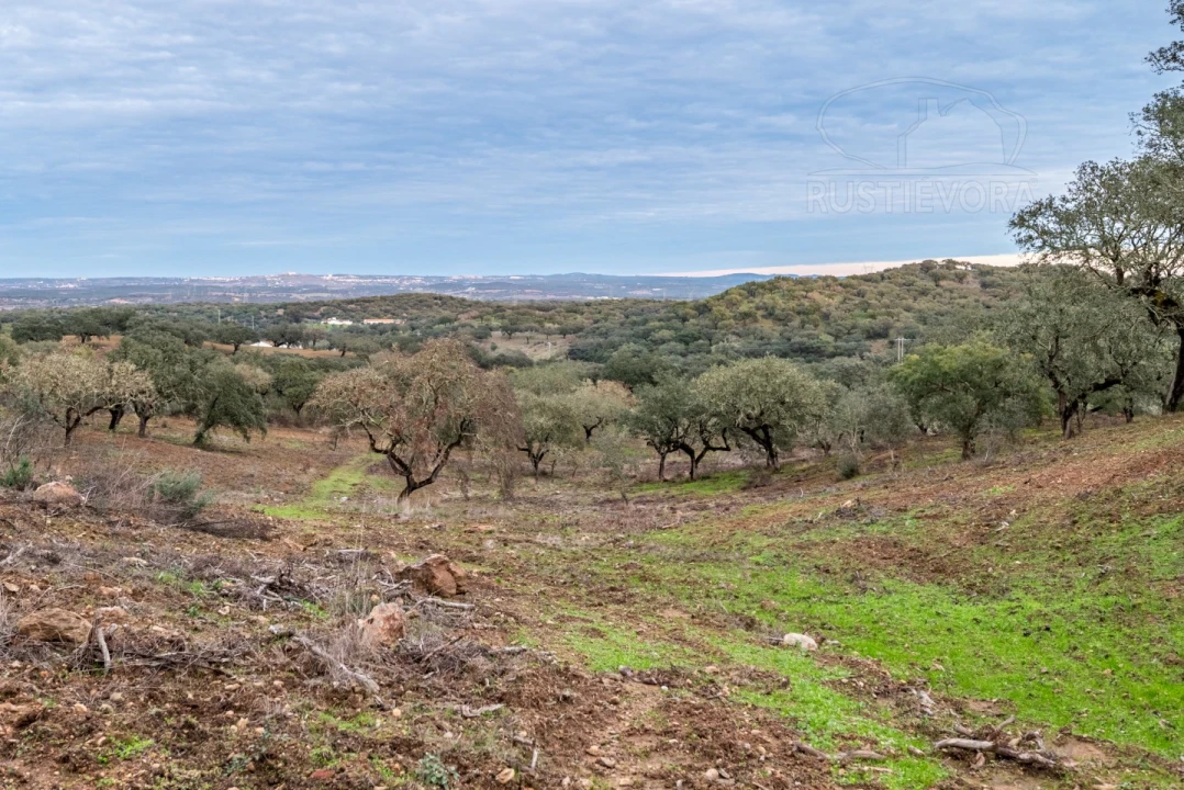 Quinta para Venda em Evora Monte (Santa Maria) Foto 34