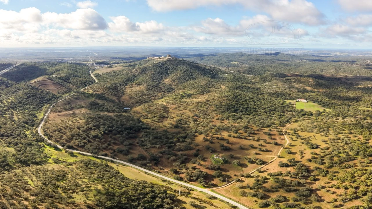 Quinta para Venda em Evora Monte (Santa Maria) Foto 4