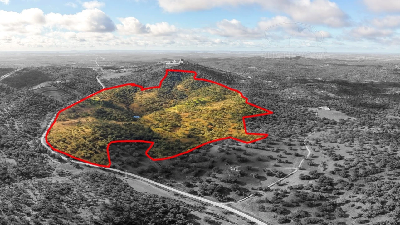 Quinta para Venda em Evora Monte (Santa Maria) Foto 36