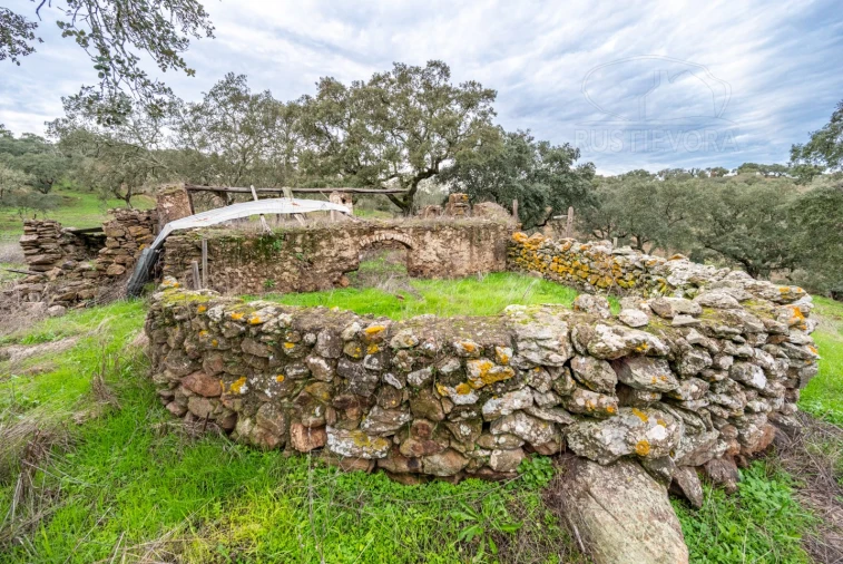 Quinta para Venda em Evora Monte (Santa Maria) Foto 2