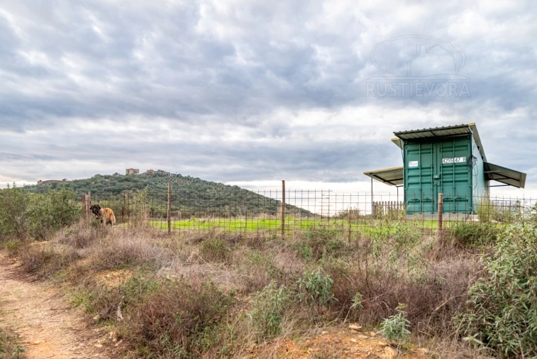 Quinta para Venda em Evora Monte (Santa Maria) Foto 12