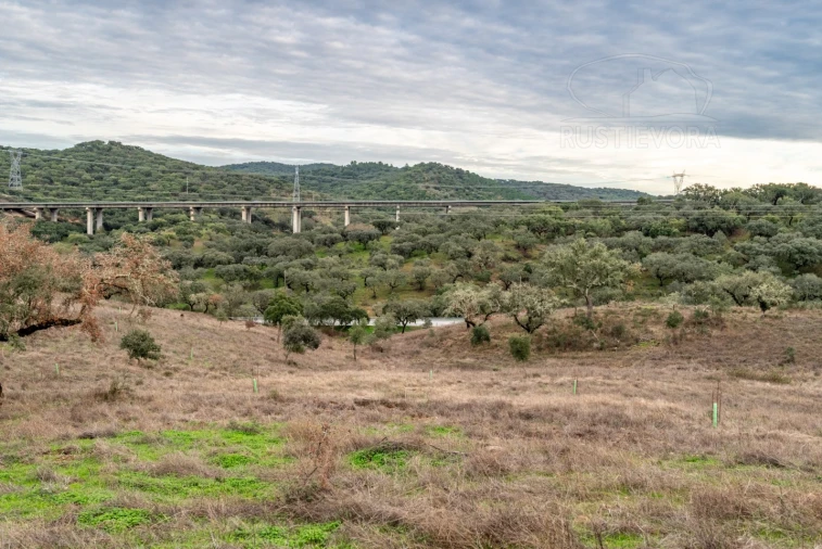 Quinta para Venda em Evora Monte (Santa Maria) Foto 14