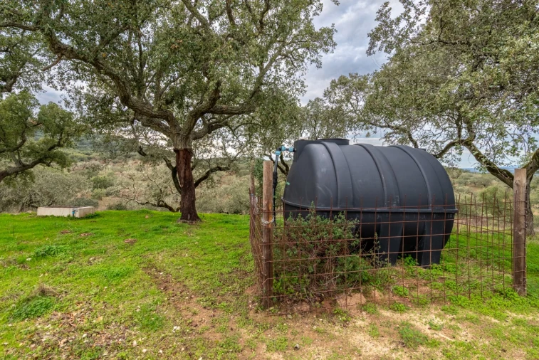 Quinta para Venda em Evora Monte (Santa Maria) Foto 16