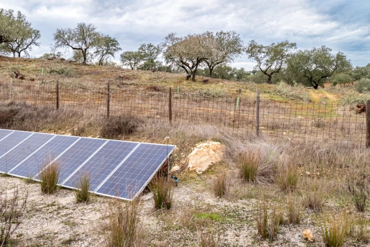 Quinta para Venda em Evora Monte (Santa Maria) Foto 19